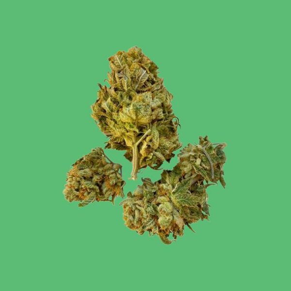 Buy Banana Punch (Hybrid) - UK online dispensary