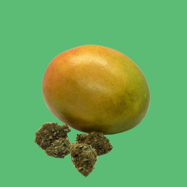 Buy Mango Sapphire (Indica) - UK online dispensary