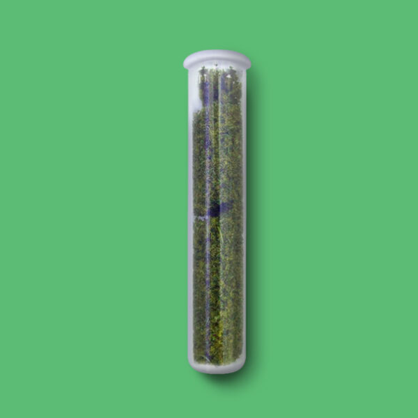 Buy Kief 1g (Concentrates) - UK online dispensary