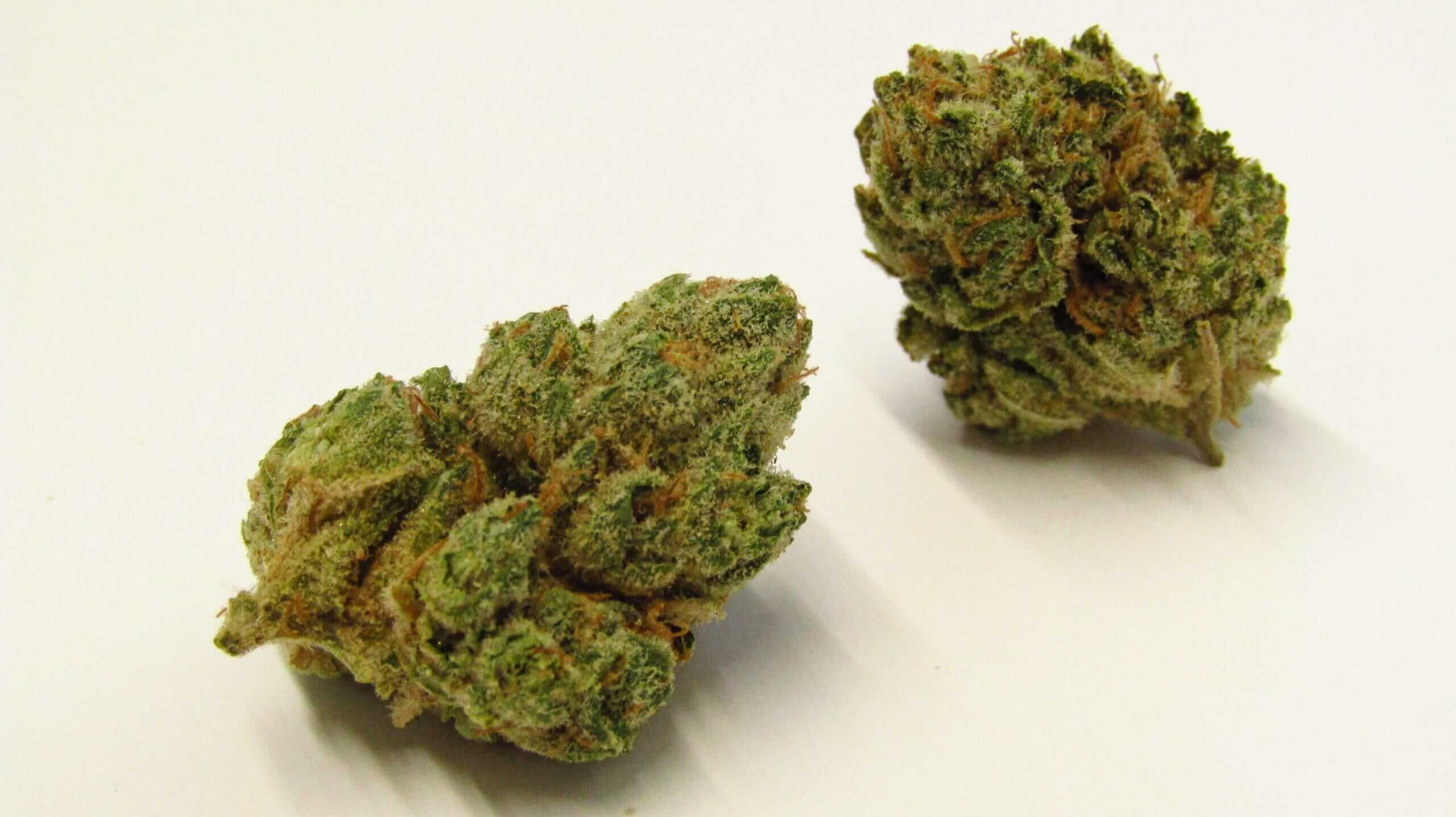The Science of White Ash: What Curing, Moisture & Flushing Actually Do to Smoke - weed-market UK guide