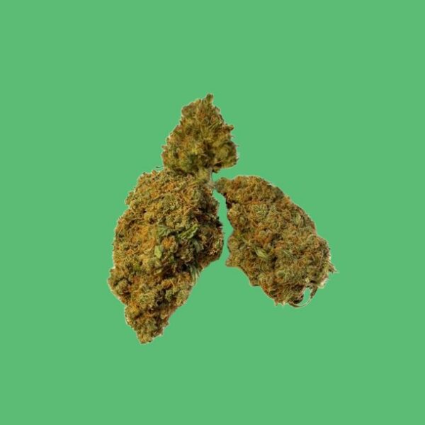 Buy BCN Critical XXL (Sativa) - UK online dispensary