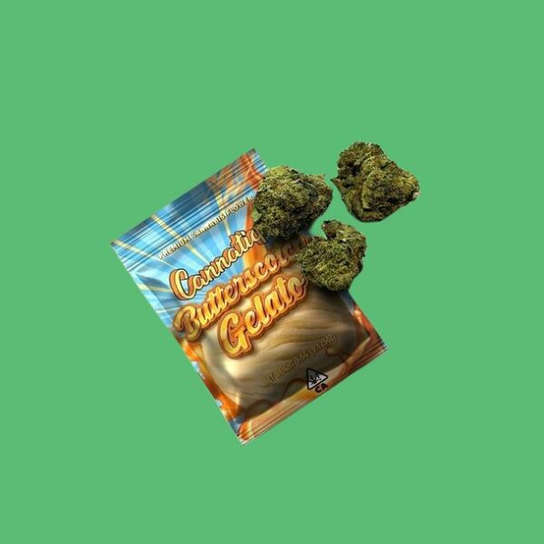 Buy BUTTERSCOTCH GELATO by Cannatique (Hybrid) - UK online dispensary