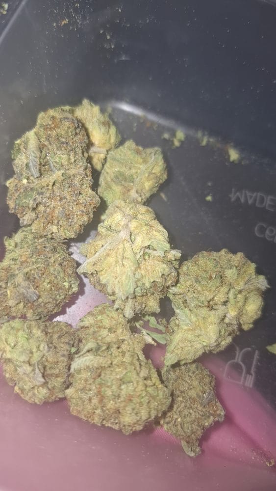 RUNTZ X LAYER CAKE preview