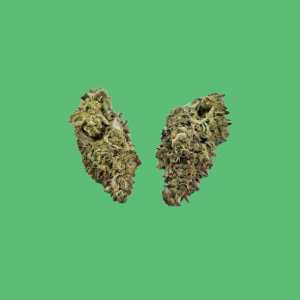 Buy Jungle Cake (Hybrid) - UK online dispensary