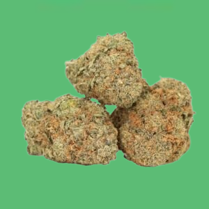 Buy Forbidden Runtz (Hybrid) - UK online dispensary