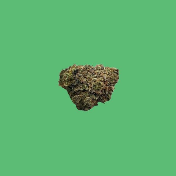Buy Snoop's Dream (Hybrid) - UK online dispensary