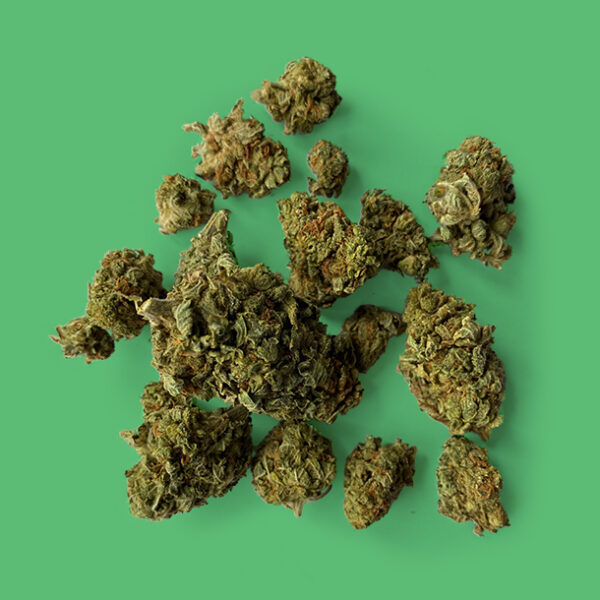 Buy Nightwalker (Hybrid) - UK online dispensary